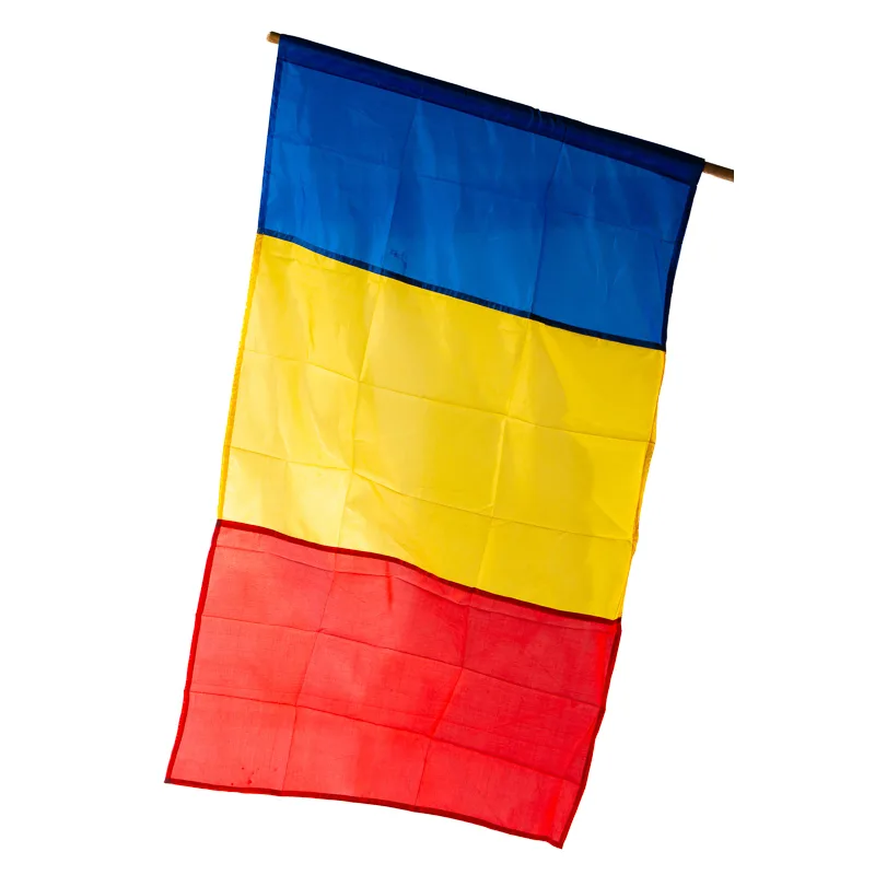 Steag Romania - imagine 3