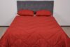 Pilota microfibra SomnART Coral Rosie, Fill 300 g/mp, 150x200 cm